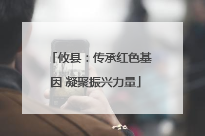 攸县：传承红色基因 凝聚振兴力量