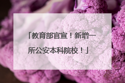 教育部官宣！新增一所公安本科院校！