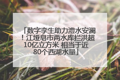 数字孪生助力澧水安澜！江垭皂市两水库拦洪超10亿立方米 相当于近80个西湖水量