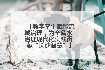数字孪生赋能流域治理，为全省水治理现代化实践贡献“长沙智慧”
