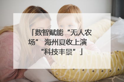 数智赋能“无人农场” 海州夏收上演“科技丰景”
