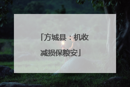 方城县：机收减损保粮安