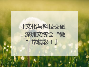 文化与科技交融，深圳文博会“徽”常精彩！