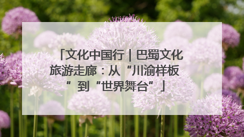 文化中国行｜巴蜀文化旅游走廊：从“川渝样板”到“世界舞台”