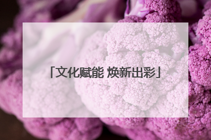 文化赋能 焕新出彩
