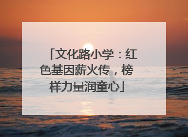 文化路小学：红色基因薪火传，榜样力量润童心