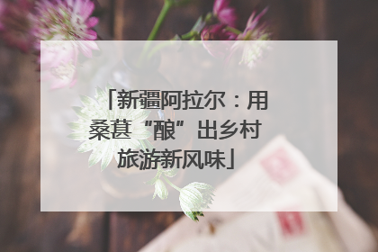 新疆阿拉尔：用桑葚“酿”出乡村旅游新风味