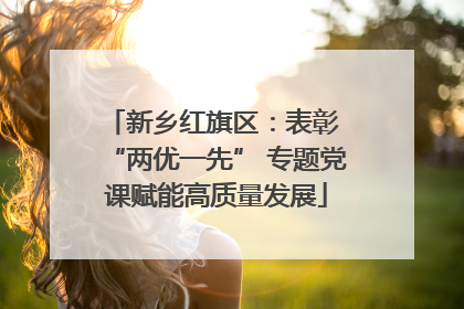 新乡红旗区：表彰 “两优一先” 专题党课赋能高质量发展