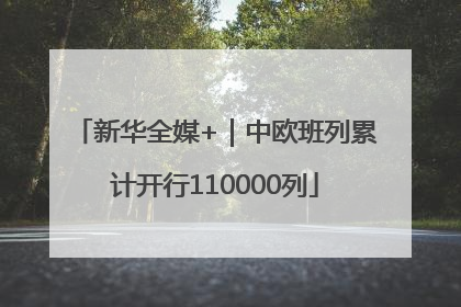 新华全媒+｜中欧班列累计开行110000列