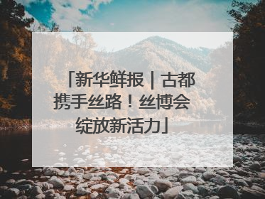新华鲜报｜古都携手丝路！丝博会绽放新活力