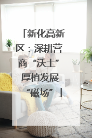 新化高新区：深耕营商“沃土” 厚植发展“磁场”