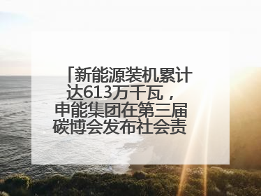 新能源装机累计达613万千瓦，申能集团在第三届碳博会发布社会责任报告