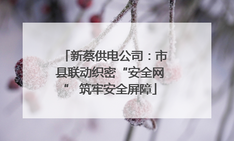 新蔡供电公司：市县联动织密“安全网” 筑牢安全屏障