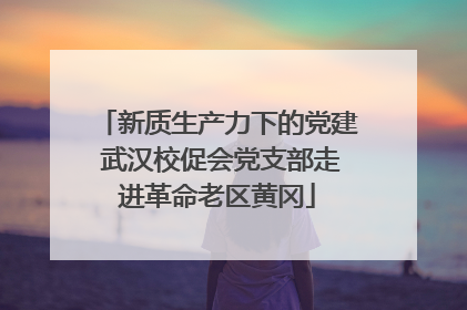 新质生产力下的党建 武汉校促会党支部走进革命老区黄冈