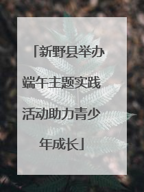 新野县举办端午主题实践活动助力青少年成长