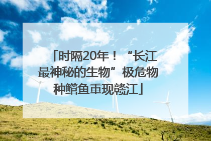 时隔20年！“长江最神秘的生物”极危物种鳤鱼重现赣江