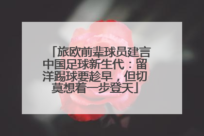 旅欧前辈球员建言中国足球新生代：留洋踢球要趁早，但切莫想着一步登天