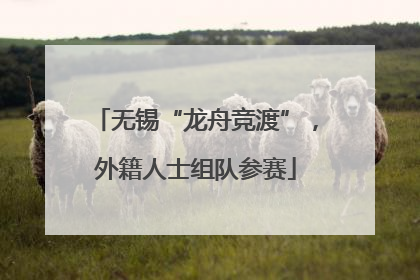 无锡“龙舟竞渡”，外籍人士组队参赛