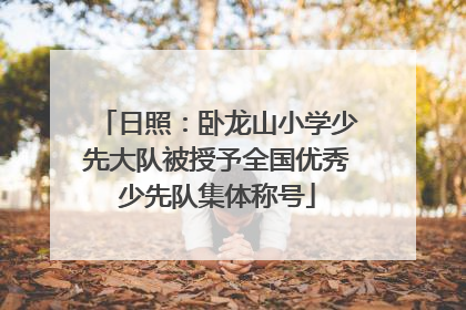 日照：卧龙山小学少先大队被授予全国优秀少先队集体称号