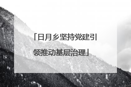 日月乡坚持党建引领推动基层治理