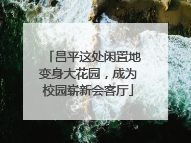 昌平这处闲置地变身大花园，成为校园崭新会客厅