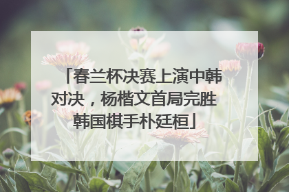 春兰杯决赛上演中韩对决，杨楷文首局完胜韩国棋手朴廷桓