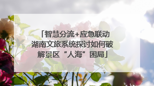 智慧分流+应急联动 湖南文旅系统探讨如何破解景区“人海”困局