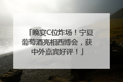 晚宴C位炸场！宁夏葡萄酒亮相西博会，获中外嘉宾好评！