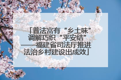 普法富有“乡土味” 调解巧织“平安结”——福建省司法厅推进法治乡村建设出成效