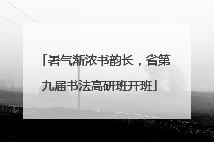 暑气渐浓书韵长，省第九届书法高研班开班