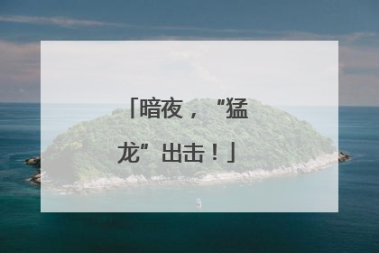 暗夜，“猛龙”出击！