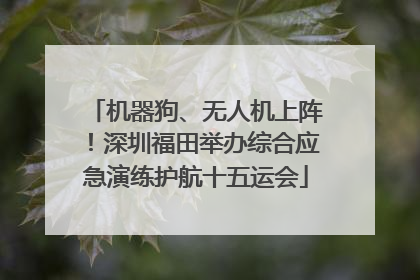 机器狗、无人机上阵！深圳福田举办综合应急演练护航十五运会