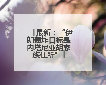 最新：“伊朗轰炸目标是内塔尼亚胡家族住所”