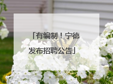 有编制！宁德发布招聘公告
