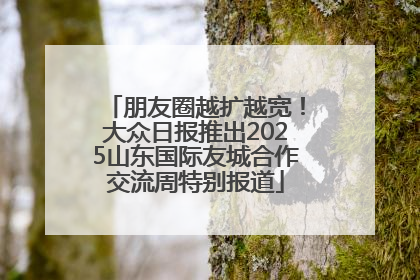 朋友圈越扩越宽！大众日报推出2025山东国际友城合作交流周特别报道