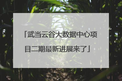武当云谷大数据中心项目二期最新进展来了