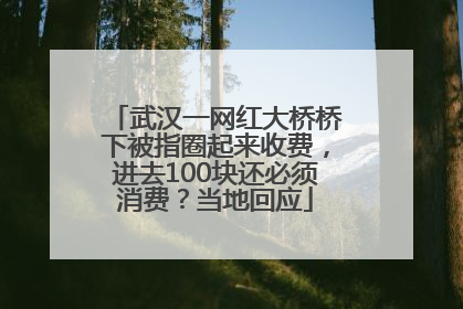 武汉一网红大桥桥下被指圈起来收费，进去100块还必须消费？当地回应