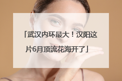 武汉内环最大！汉阳这片6月顶流花海开了