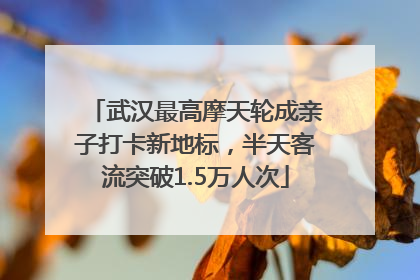 武汉最高摩天轮成亲子打卡新地标，半天客流突破1.5万人次