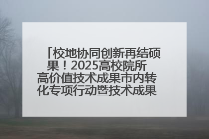 校地协同创新再结硕果！2025高校院所高价值技术成果市内转化专项行动暨技术成果项目路演对接会举办