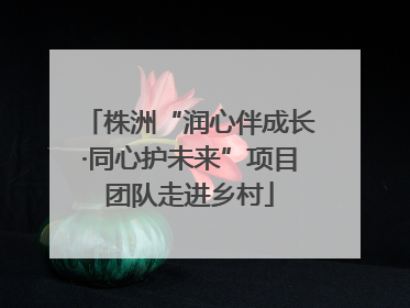 株洲“润心伴成长·同心护未来”项目团队走进乡村