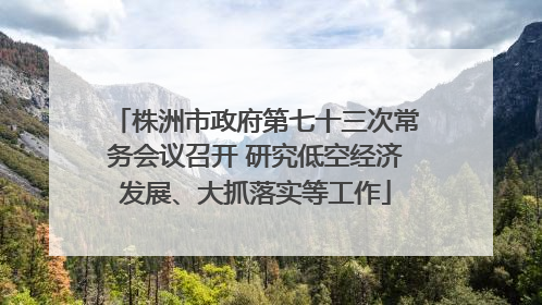 株洲市政府第七十三次常务会议召开 研究低空经济发展、大抓落实等工作