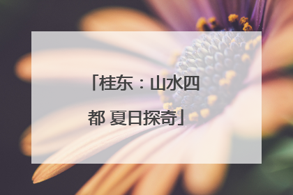 桂东：山水四都 夏日探奇