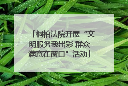 桐柏法院开展“文明服务我出彩 群众满意在窗口”活动
