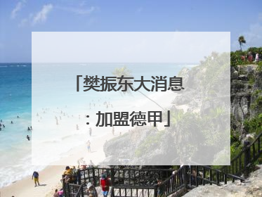 樊振东大消息：加盟德甲