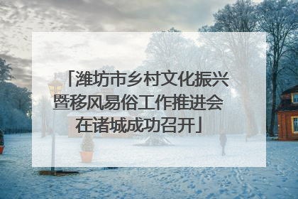 潍坊市乡村文化振兴暨移风易俗工作推进会在诸城成功召开