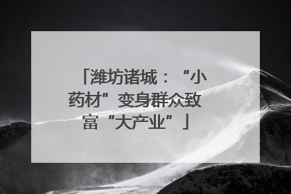 潍坊诸城：“小药材”变身群众致富“大产业”