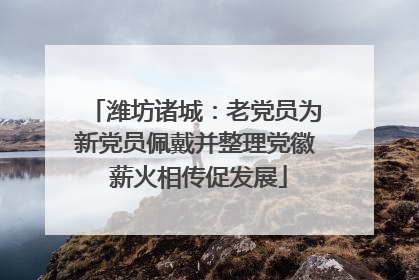 潍坊诸城：老党员为新党员佩戴并整理党徽 薪火相传促发展