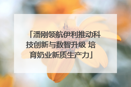 潘刚领航伊利推动科技创新与数智升级 培育奶业新质生产力