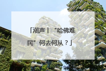 潮声丨“哈佛难民”何去何从？